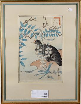 OKÄND KONSTNÄR, träsnitt, Japan.  