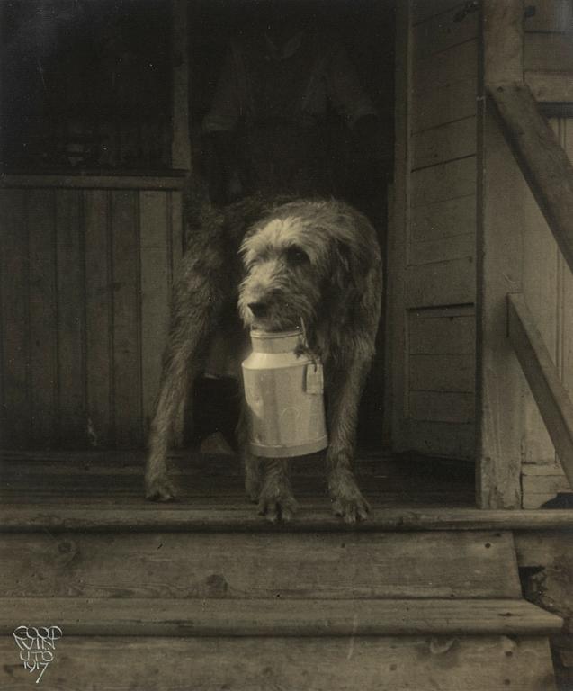 Henry B. Goodwin, "Troll in the Milk Stand, 1917".