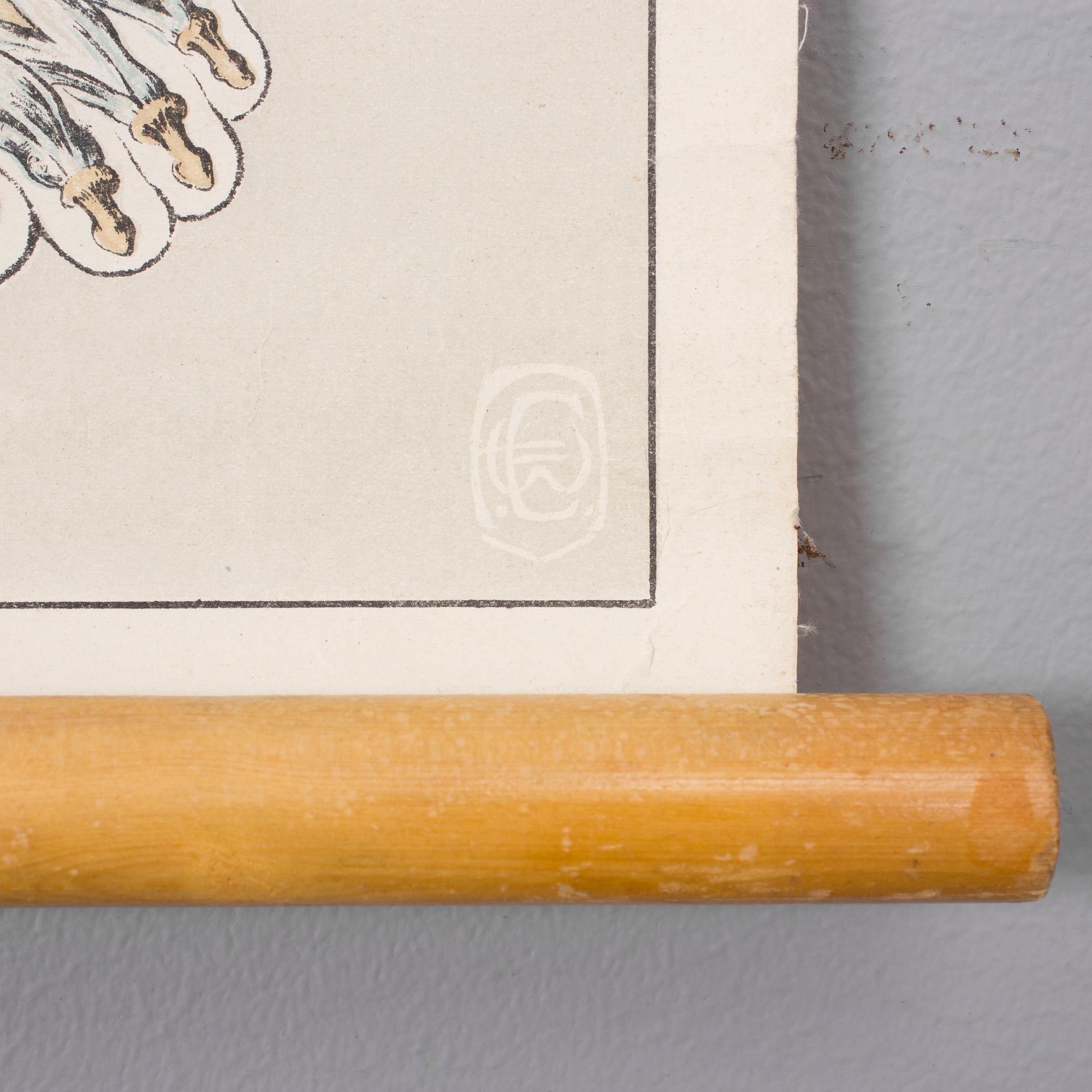 PLANSCH, 1900-talets första hälft.