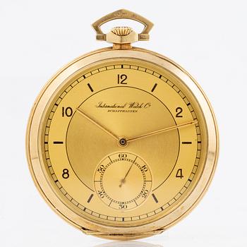 IWC, fickur, "Sector Dial", 51 mm.