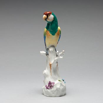 A Meissen figure of a parrot, circa 1900.