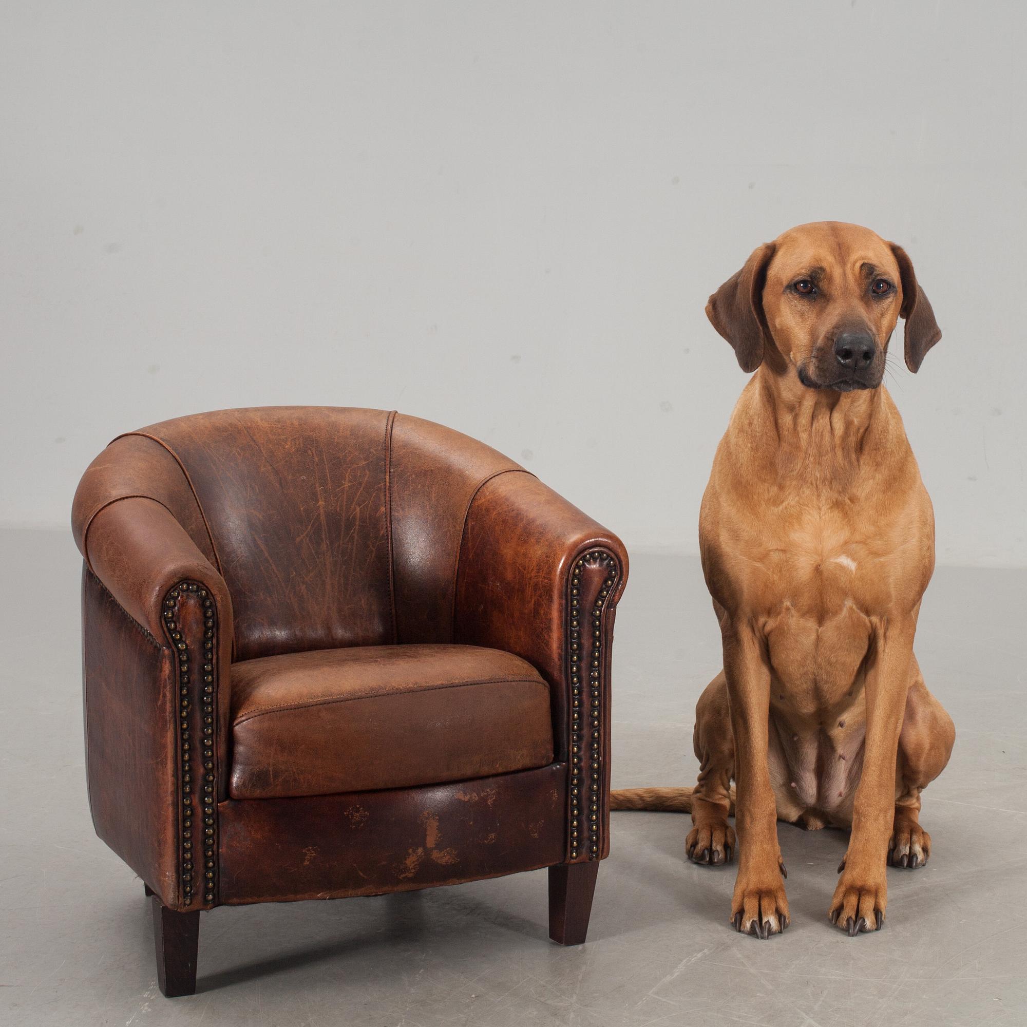 BARNFÅTÖLJ, Joris, brickmärkt, 1900-talets slut.