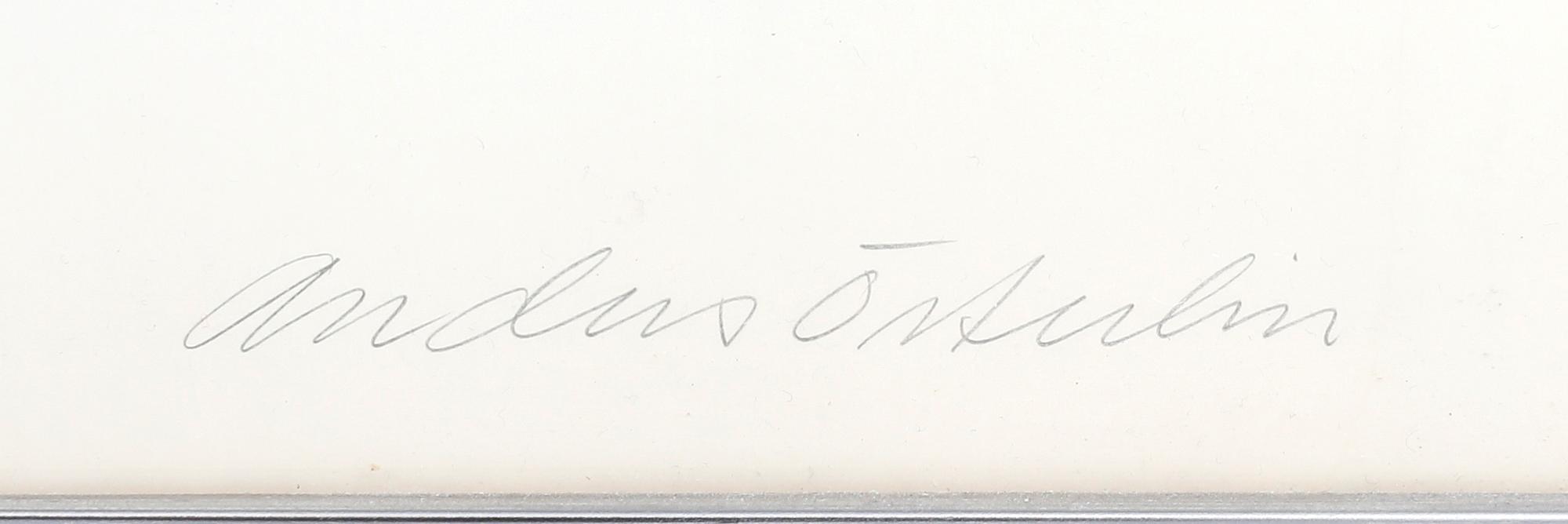 Anders Österlin, Untitled.