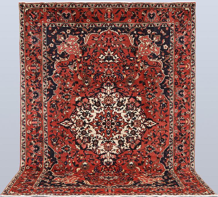Matta, Baktiari, 326 x 228 cm.