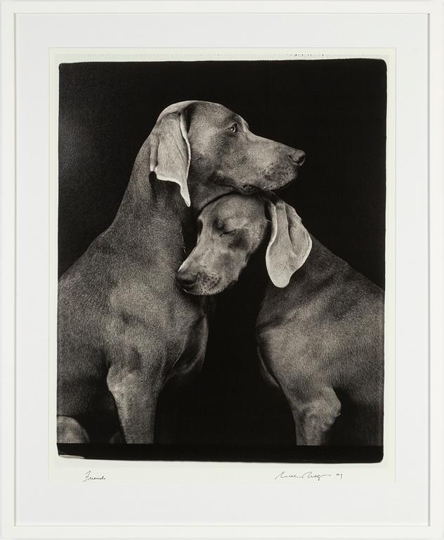 William Wegman, archival pigment print 2009, signed. Numbered 117/1500 verso.