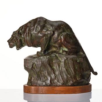 Johan Axel Wetterlund, Mountain lion.