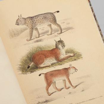 BOK, "Skandinaviska däggdjur tecknade efter naturen",  lithografierade, tryckte och utgifne av M. Körner, Lund, 1855.