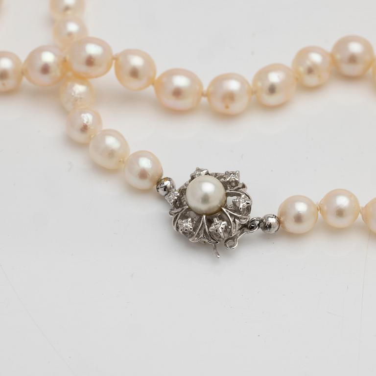 Necklace of cultured pearls, clasp of 18K white gold with diamonds.