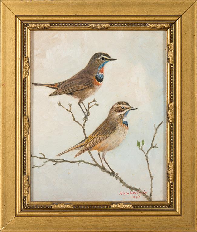 Niilo Vainio, Bluethroats.