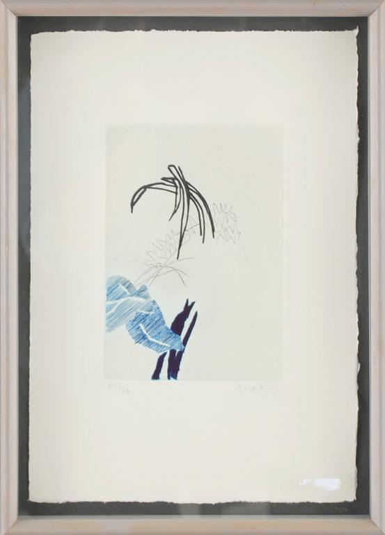 ULF TROTZIG, färgetsning, signerad och numrerad 65/70.