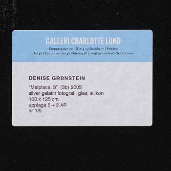 Denise Grünstein, "Malplacé 3B", 2005.