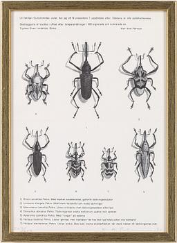 KARL AXEL PEHRSON, 9 st, litografier, signerade, olika dateringar och numreringar.