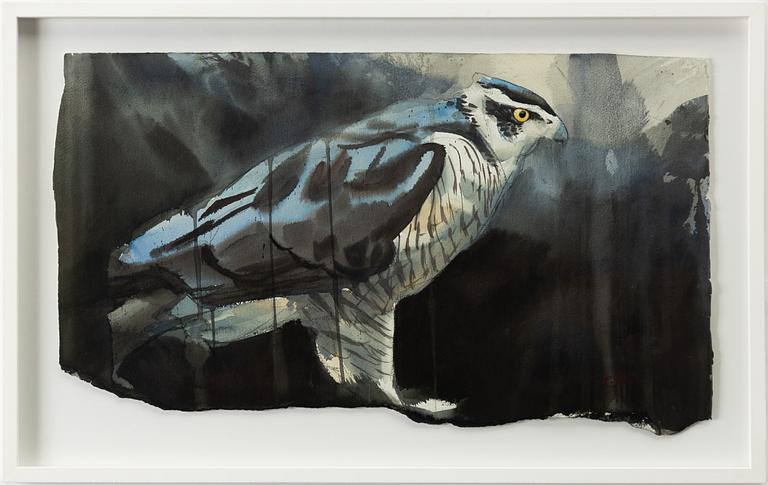 Emanuel Bernstone, Goshawk.