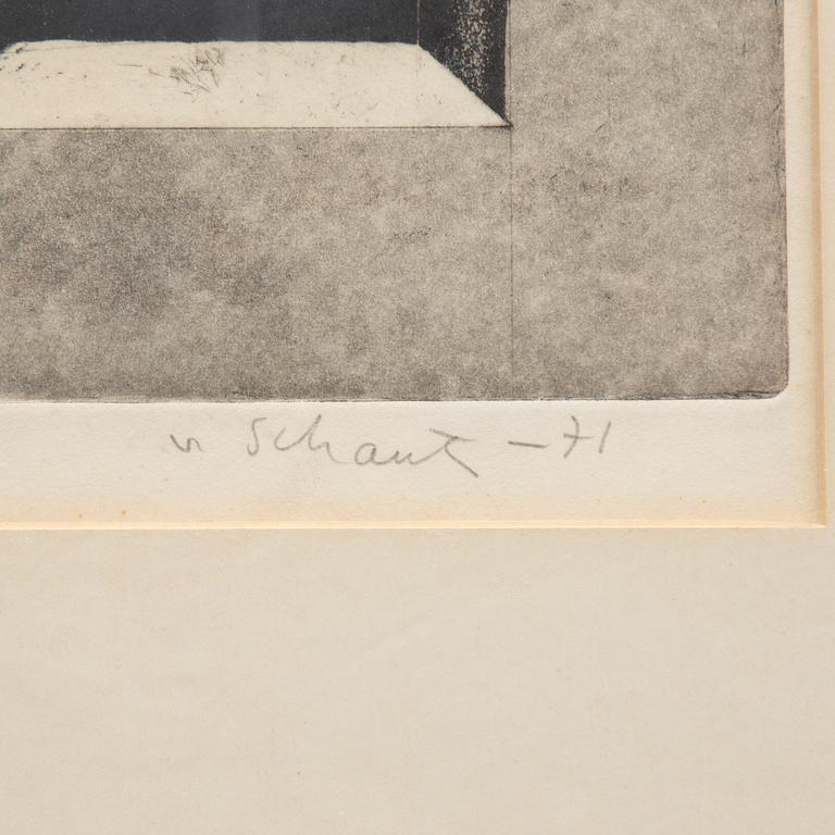 Philip von Schantz, "Gråfönster".