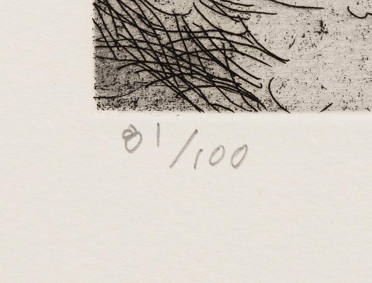 Raymond Pettibon, Untitled (Ought We To Admire Their Colours, Or Despise Them).