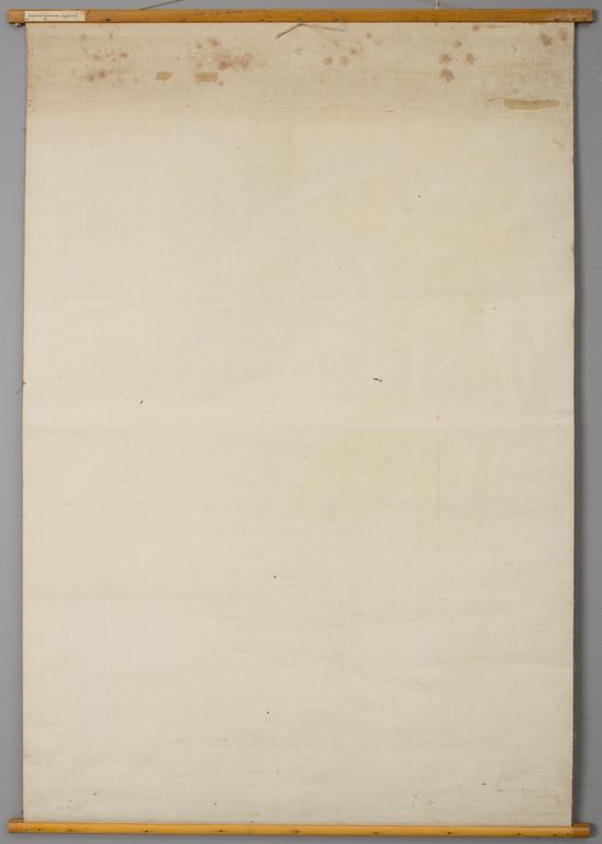 PLANSCH, 1900-talets första hälft.