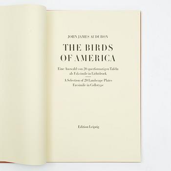 Audubon’s Birds of America.