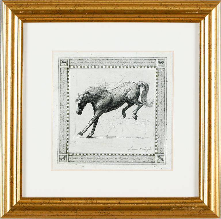 TAVLOR, 13 st, tryck, 1900-talets andra hälft.