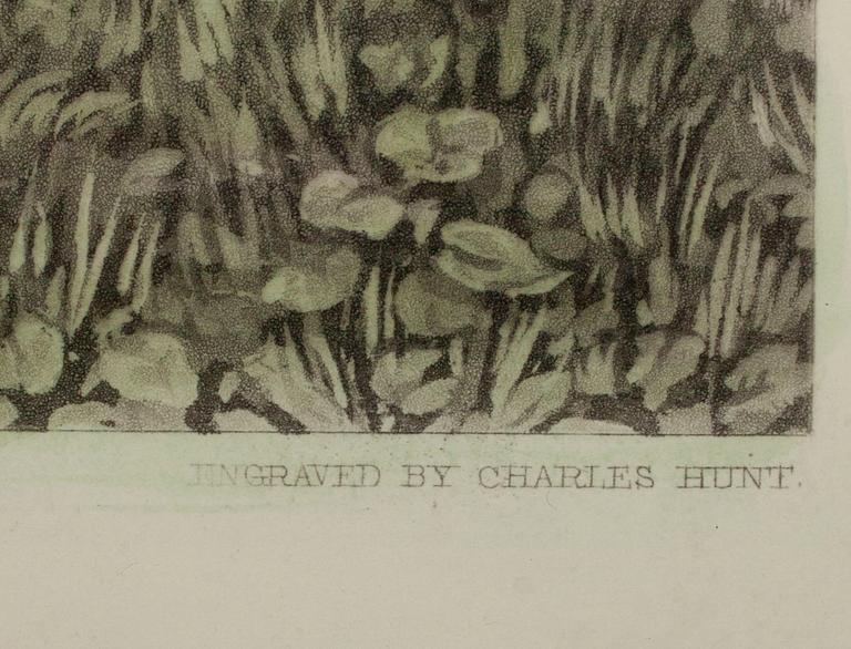 HENRY T. DAVIS, efter, kolorerad gravyr, gravör Charles Hunt, England 1850.