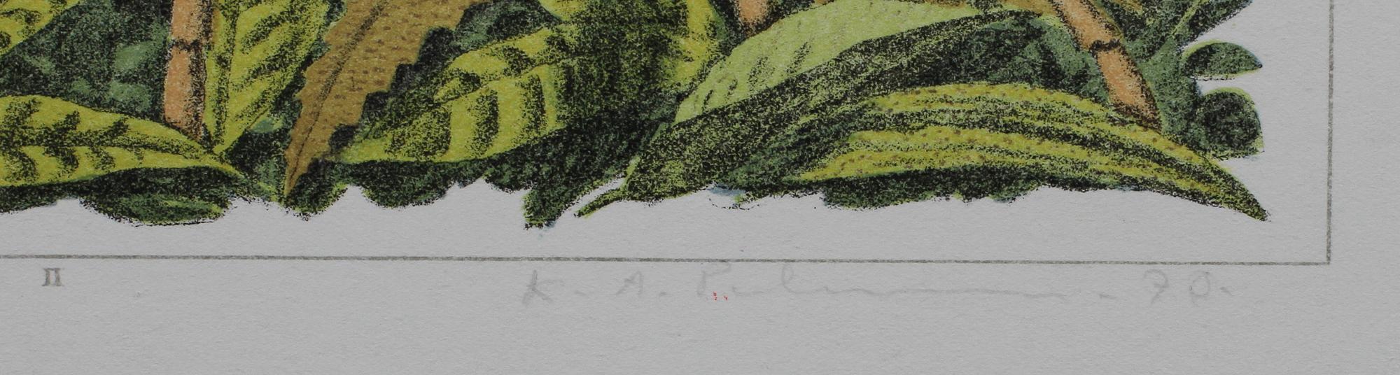 KARL AXEL PEHRSON, färglitografi, sign, dat 70 o numr 36/285.