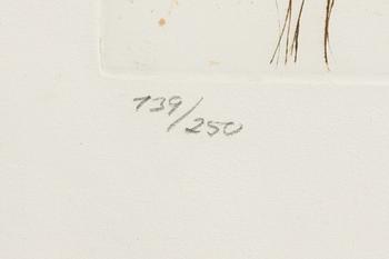 Salvador Dalí, "Return of Shulamite" Ur Song if Songs of Salomon.