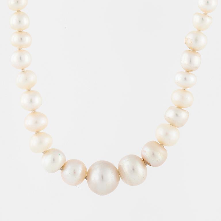 A cultured pearl necklace by Hugo Strömdahl, Stockholm, 1962.